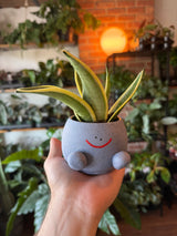 Handmade Planters