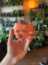 Handmade Planters