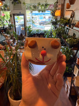 Handmade Planters