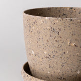 Coffee Bean Planter
