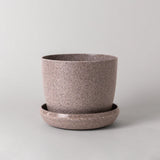 Nut Husk Planter