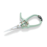 Pruning Shears