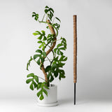 Flexible Coir Pole