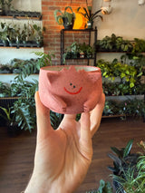 Handmade Planters