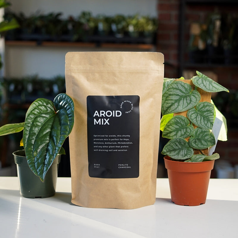 potting mix anthurium Aroid Potting Mix – Safa Plant Co